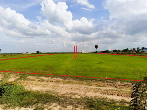 🏠 អចលនទ្រព្យ លក់ឡាយឡុង (Auctioned Properties) 🏷