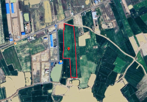 🏠 អចលនទ្រព្យ លក់ឡាយឡុង (Auctioned Properties) 🏷