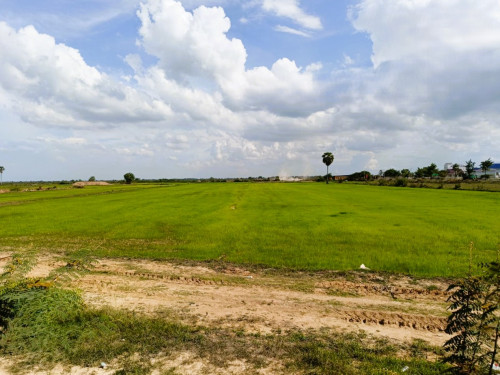 🏠 អចលនទ្រព្យ លក់ឡាយឡុង (Auctioned Properties) 🏷