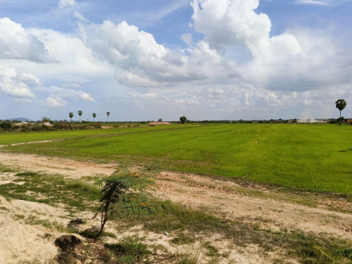 🏠 អចលនទ្រព្យ លក់ឡាយឡុង (Auctioned Properties) 🏷