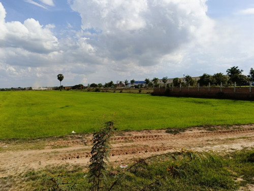 🏠 អចលនទ្រព្យ លក់ឡាយឡុង (Auctioned Properties) 🏷