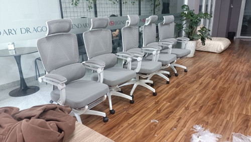 Ergonomics Chair