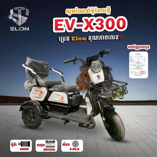 Ev-X300