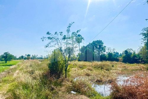 Land for Sale along 4m wide road, Siem Reap commune