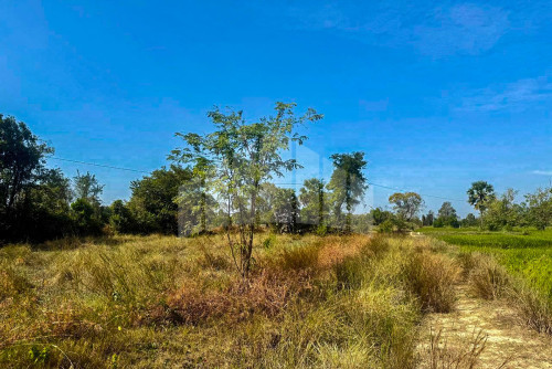 Land for Sale along 4m wide road, Siem Reap commune