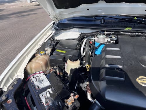 Nissan navara 2006 white color