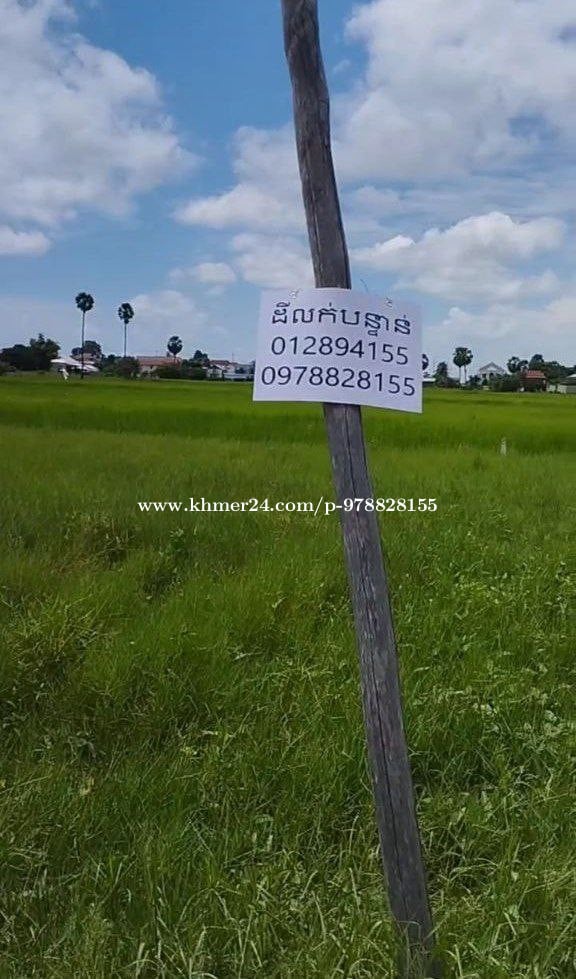 ដីលក់បន្ទាន់