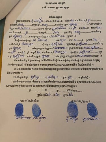 តើថ្ងៃណាទើបប្រាណបានយល់