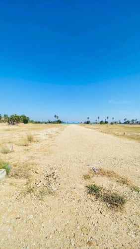 ដីលក់នៅម្តុំបឹងតាមោក