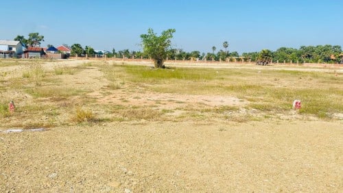 ដីលក់នៅម្តុំបឹងតាមោក
