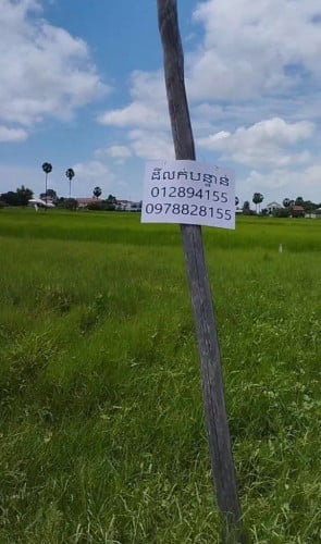 ដីលក់បន្ទាន់