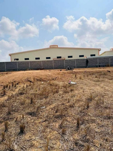 ទំហំដី​ 20m x 43m តម្លៃត្រឹមតែ​ 17500$ (ចរចា)📄 កាត់ប្លង់រឹងជូន