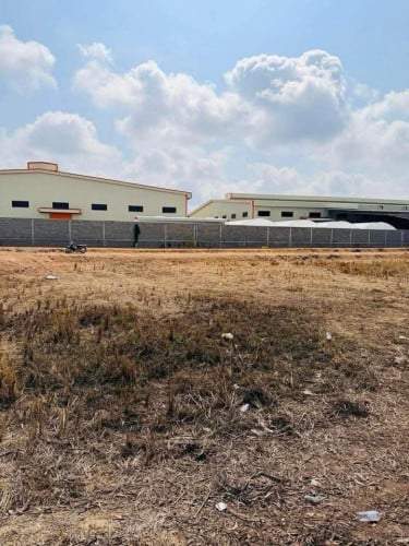 ទំហំដី​ 20m x 43m តម្លៃត្រឹមតែ​ 17500$ (ចរចា)📄 កាត់ប្លង់រឹងជូន