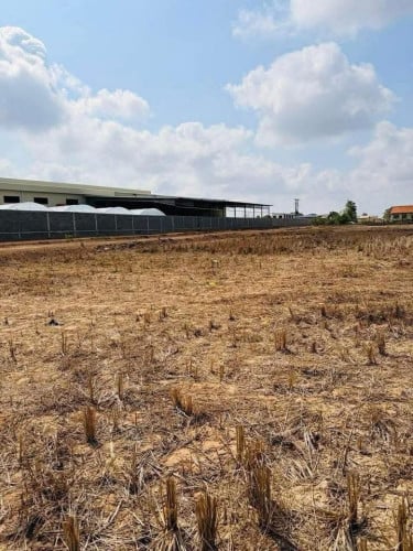 ទំហំដី​ 20m x 43m តម្លៃត្រឹមតែ​ 17500$ (ចរចា)📄 កាត់ប្លង់រឹងជូន