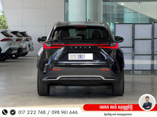 Lexus NX350 AWD 2024