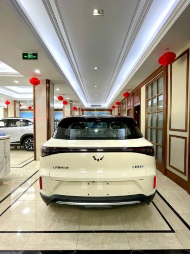 Model BingoS2026(Full option $17,800)អគ្គិសនីសុទ្ធRange 430KM