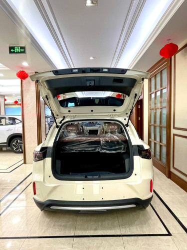 Model BingoS2026(Full option $17,800)អគ្គិសនីសុទ្ធRange 430KM