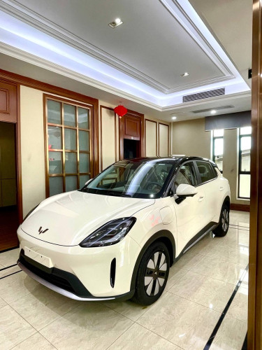 Model BingoS2026(Full option $17,800)អគ្គិសនីសុទ្ធRange 430KM