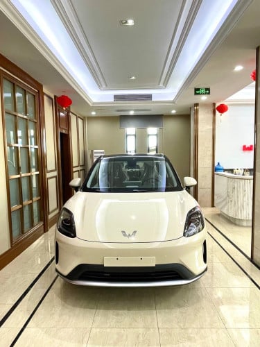 Model BingoS2026(Full option $17,800)អគ្គិសនីសុទ្ធRange 430KM