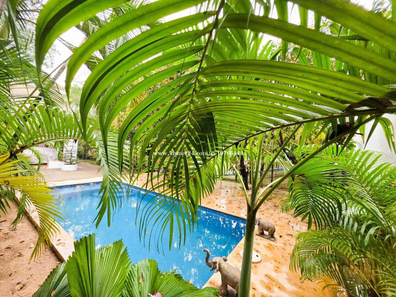 Spacious Villa with Pool for Rent near Riverside