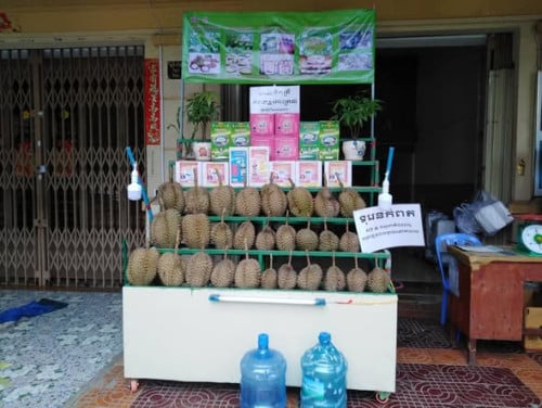 ធ្នើទុរេនលក់
