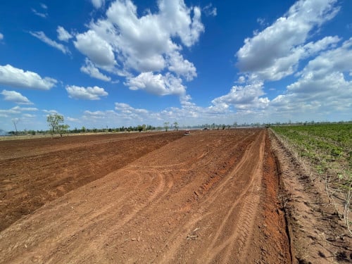 ដីលក់​១ហាត់តា​ ៣៨០០$ចរចា​​ (ស្រែណូយ)