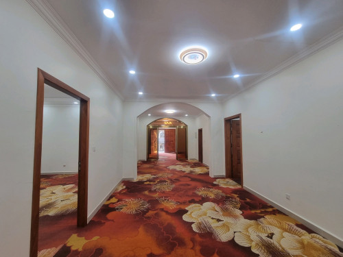 🏢 New Building for Rent – Daun Penh