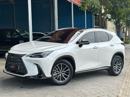 2022 LEXUS NX250 Full Options