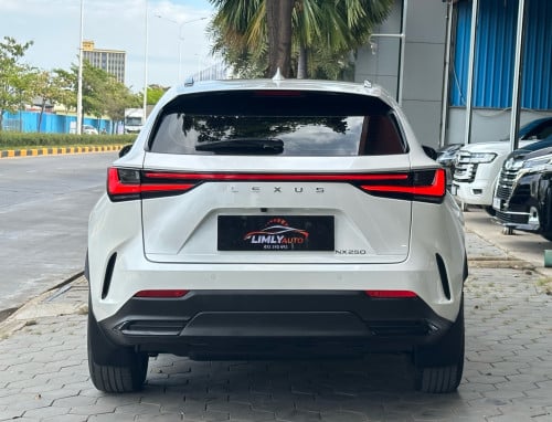 2022 LEXUS NX250 Full Options