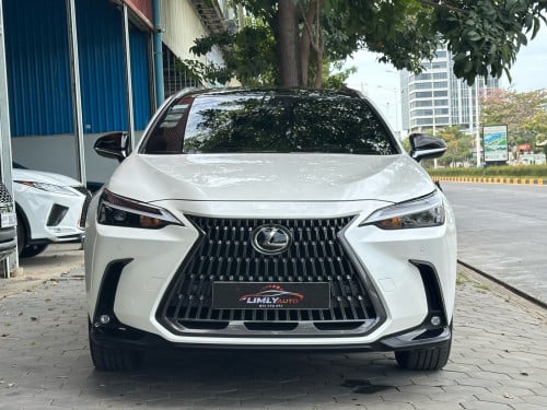 2022 LEXUS NX250 Full Options