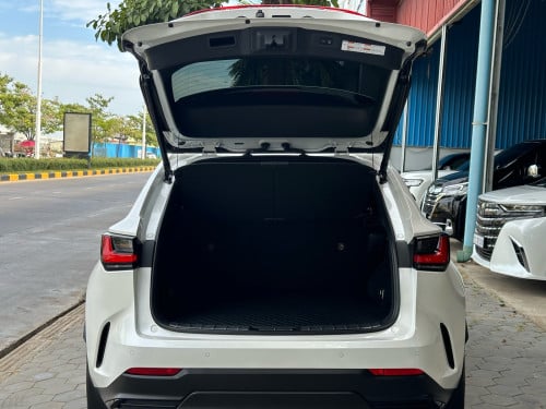 2022 LEXUS NX250 Full Options