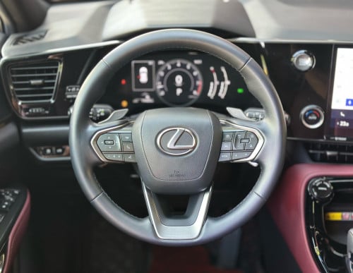 2022 LEXUS NX250 Full Options