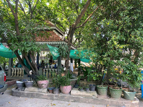 House for Rent – Tuol Kork (TK) with green garden