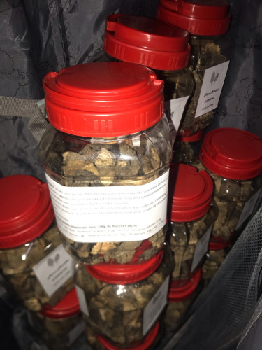 Morels