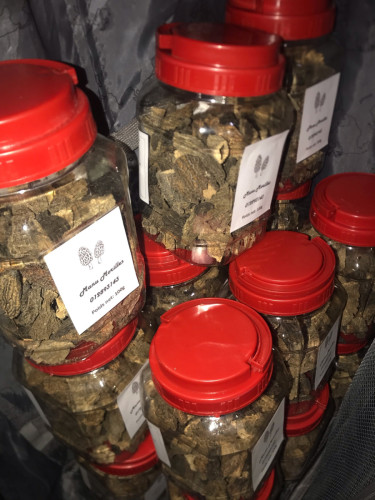 Morels