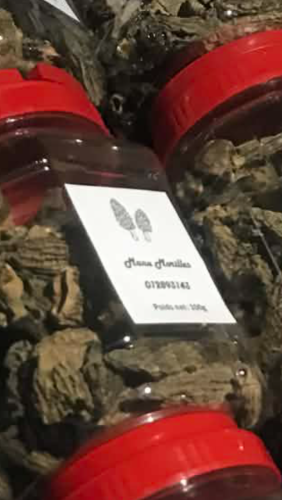 Morels