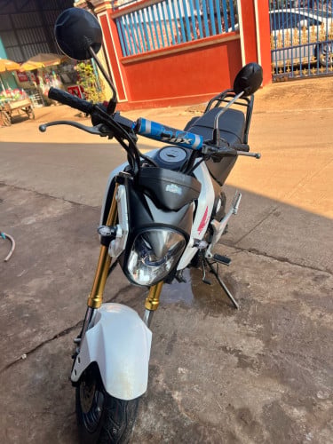 MSX 125