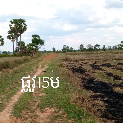 ដីលក់