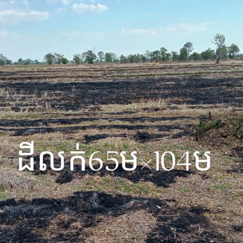 ដីលក់