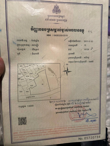ដីលក់