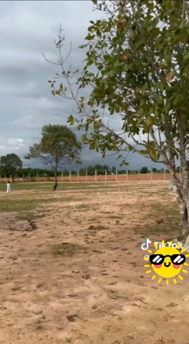 ដីលក់