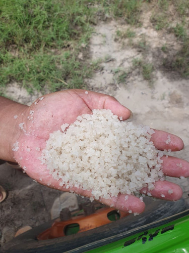 លក់អំបិល
