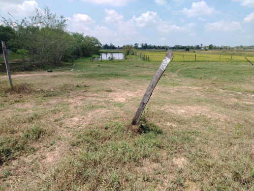 ដីលក់បន្ទាន់ ក្បាល60m