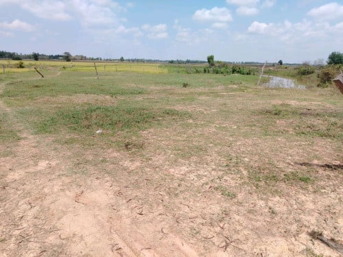ដីលក់បន្ទាន់ ក្បាល60m