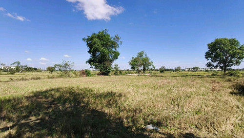 ដីសៀមរាបកន្ទួតលក់បន្ទាន់ Land for Sale Urgent