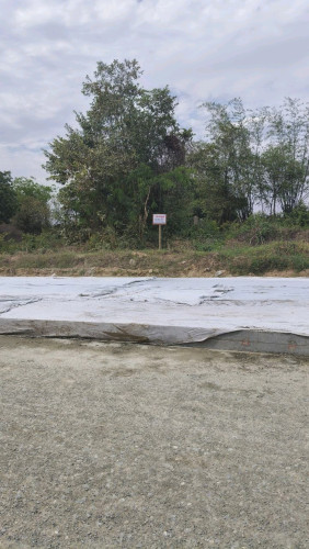 ដីសៀមរាបកន្ទួតលក់បន្ទាន់ Land for Sale Urgent