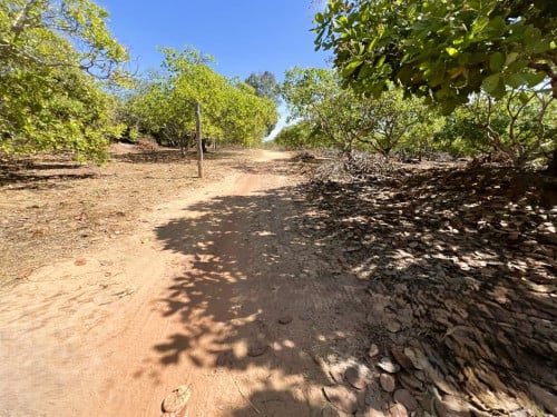 🏦Land Available for Urgent Sale at a Special Price (Negotiable).