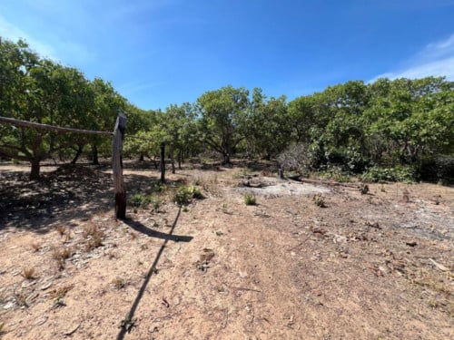 🏦Land Available for Urgent Sale at a Special Price (Negotiable).