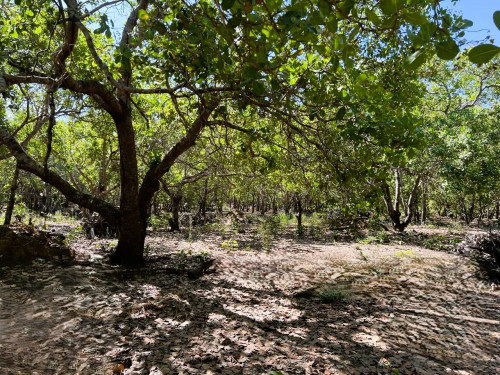 🏦Land Available for Urgent Sale at a Special Price (Negotiable).