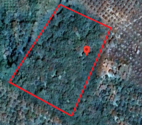 🏦Land Available for Urgent Sale at a Special Price (Negotiable).